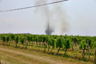 Dust Devil is a good sign, strong thermals in the air!