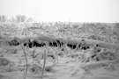 Belgrade_Snow_8670