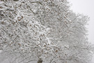 Belgrade_Snow_8686
