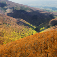 Jastrebac Mountain, April 2007.