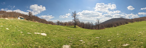 King's Water Meadow Panorama (VR)
