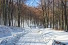 Jastrebac Mountain