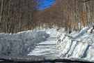 Jastrebac Mountain