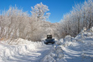 Jastrebac Mountain