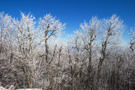 Jastrebac Mountain