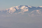 Pančić's peak on Kopaonik mountain
