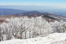 Jastrebac Mountain