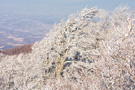 Jastrebac Mountain