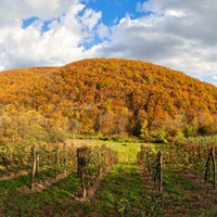 Jastrebac Mountain, November 2008.