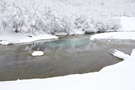 Small stream in the "First Meadow"