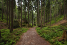 Saxon Switzerland