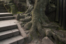 Saxon Switzerland, Bastei