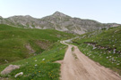 Road towards Kapetanovo Jezero