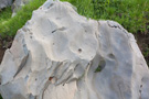 Limestone rocks