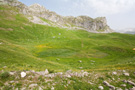 Moračke Planine spring flora