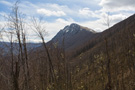 Suva Planina, Trem peak