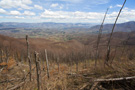 Suva Planina, ascent from Bojanine Vode