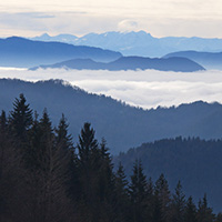 Tara Mountain, 2014-2018.