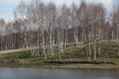 Vlasina lake