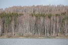 Vlasina lake