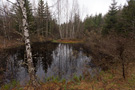 Vlasina lake