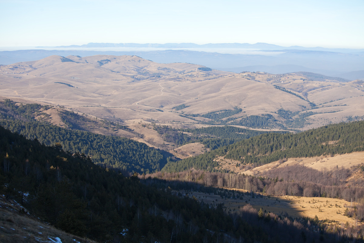 Zlatibor Mountain 2016 › Mountains And Nature › Photography › Nenad