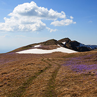 Stara Planina (Balkan Mountain), 2018-2022.