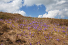 Stara Planina