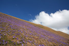 Stara Planina