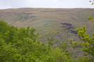 Kaluđerska reka valley