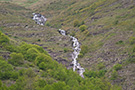 Kaluđerski skokovi waterfall