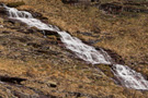 Kaluđerski skokovi waterfall
