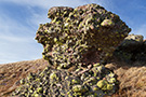 Tri Čuke ridge, weird red sandstone formations of Stara Planina