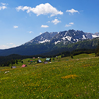 Durmitor, June 2021.