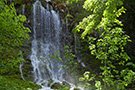 Čeline (Crno Jezero feeding streams)