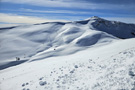 Bjelasica