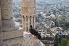 Paris - Sacre Coeur