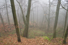 Falkenstein Castle