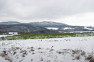 Bayerische Wald