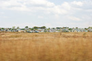 Africa_Misc_2009_053_3334