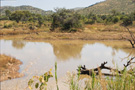 Pilanesberg Park