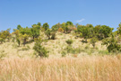 Pilanesberg Park