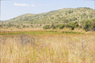 Pilanesberg Park