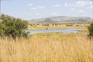 Pilanesberg Park