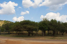 Pilanesberg Park