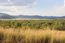 Pilanesberg Park