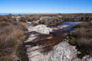 Table Mountain