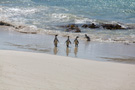 Boulder Beach