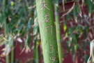 Jingshan Park