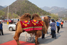 The Great Wall of Badaling